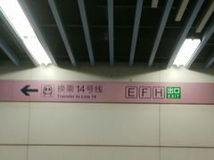 -大望路(地铁站)