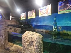 -大连圣亚海洋世界