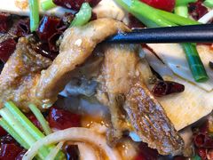 老板恋上鱼-老板恋上鱼(印象城店)