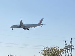 -空港花田景区