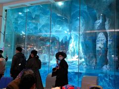 -帝企鹅自助餐厅•儿童岛•真企鹅(长隆企鹅酒店)