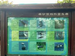 -大湾区中央湿地公园