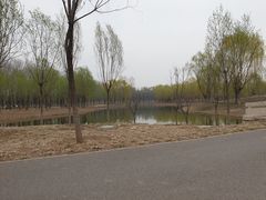-东郊湿地公园