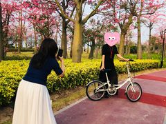-芒洲湿地公园