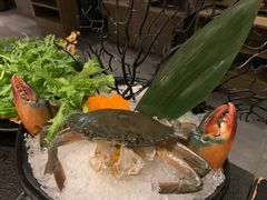 -湊湊火锅·茶憩(打浦桥日月光店)