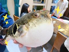 河豚-蟹后Crabber(水悦城店)