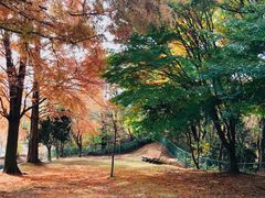 -神户市立六甲山牧场