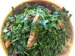 蚌肉金花菜-祥记·非遗传承·苏帮菜(苏锦店)