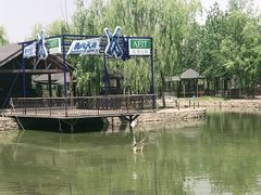 -杨柳青庄园