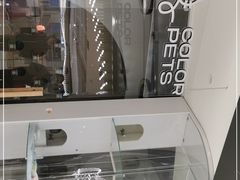 -COLOR PETS 撸猫馆·购猫·猫咖(长风大悦城店)