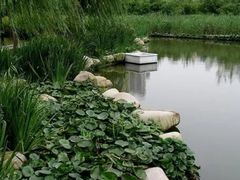 -苏州河梦清园环保主题公园