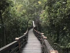 -水濂山森林公园