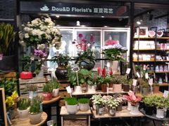 -豆豆花艺(新光天地店)