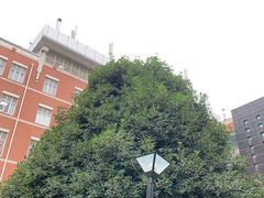 -四川大学(望江校区)