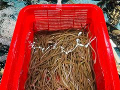 -79号渔船海鲜饭店(宝安店)