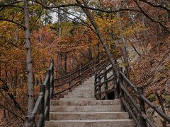 -天柱山风景区