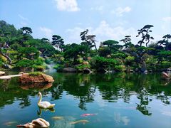 -罗红摄影艺术馆