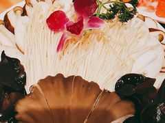 -清真军邺·金富苑肥牛(石坡街旗舰店)