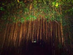 -人民公园(罗湖区)