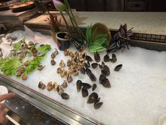 -温州王朝大酒店-自助餐厅