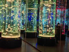 -海合安成都极地海洋公园