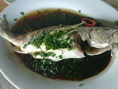 -海上驿站渔家菜馆