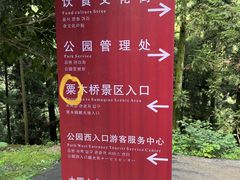 -大围山国家森林公园