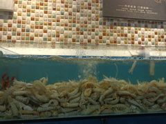 -港畔赶海蒸汽海鲜烧烤自助(仙螺岛店)