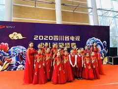 -爱乐蒙艺术·古筝 钢琴 声乐(科华校区)