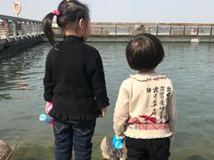 -南湖国家城市湿地公园