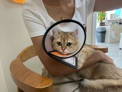 -德元·美联众合24小时动物医院(总院)