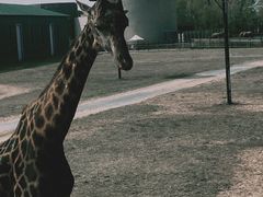 -鄂尔多斯野生动物园