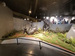 -北京周口店北京人遗址博物馆