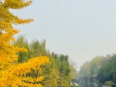 -元大都城垣遗址公园