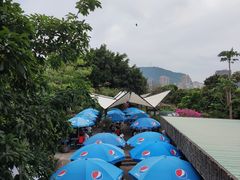 -青青世界