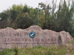 -泗洪洪泽湖湿地景区