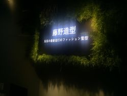 点击看大图 -藤野造型