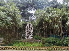 -趵突泉景区