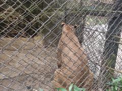 -海南热带野生动植物园