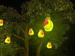 -印象普陀