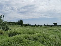 -良渚古城遗址公园