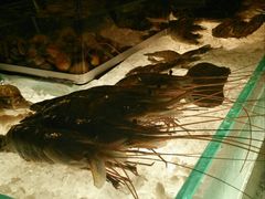 -Ministry of Crab(科伦坡店)