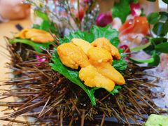 -鲔屋寿喜烧