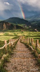 -KIDSMEMO拾光纪儿童摄影(金丰大厦店)