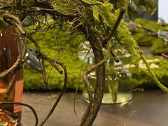 -大视光学•LINDBERG林德伯格•全球手工眼镜集合店(王府井店)