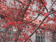 -四川大学(望江校区)