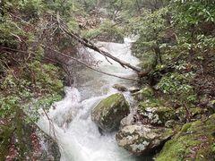 -祁门牯牛降观音堂风景区