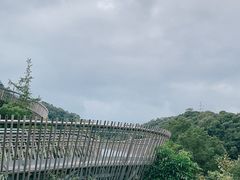 -福道