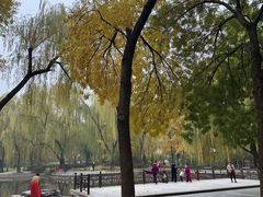 -玲珑塔公园