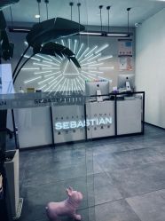 -SEBASTIAN塞巴斯汀